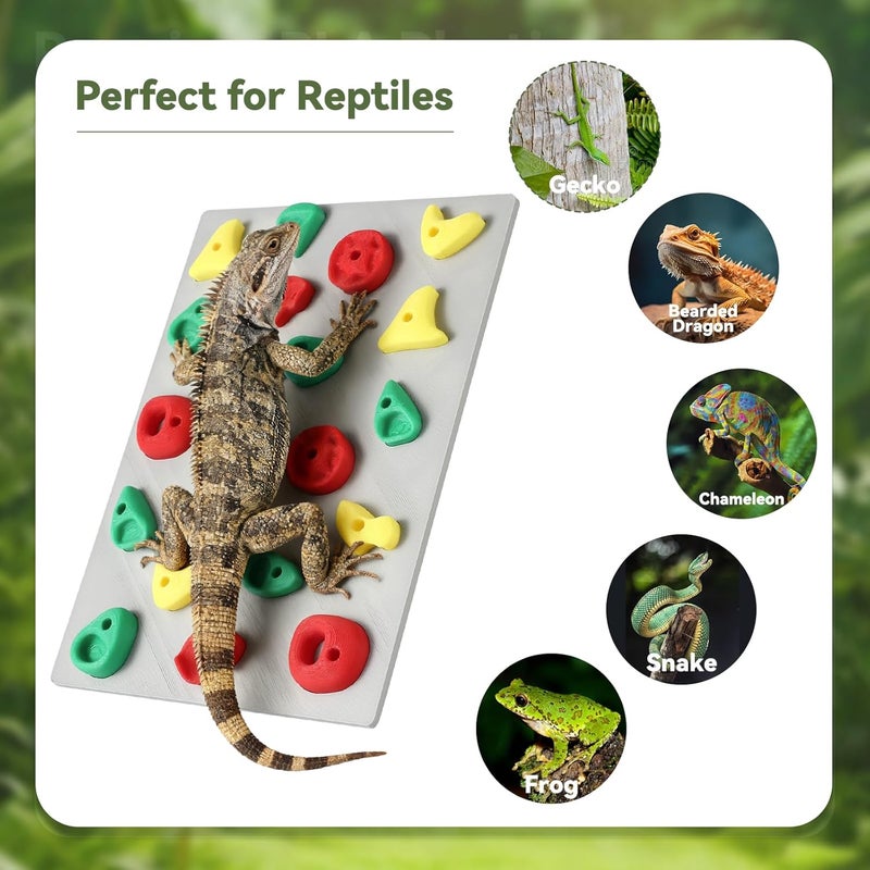 MITCHENIFY Climbing Wall for Reptiles, Reptile Tank Terrarium Accessories Habitat Decor for Bearded Dragons, Leopard Geckos, Lizards, Snakes, Tree Frogs, Amphibian Paludariums Enclosure Supplies - Image 4